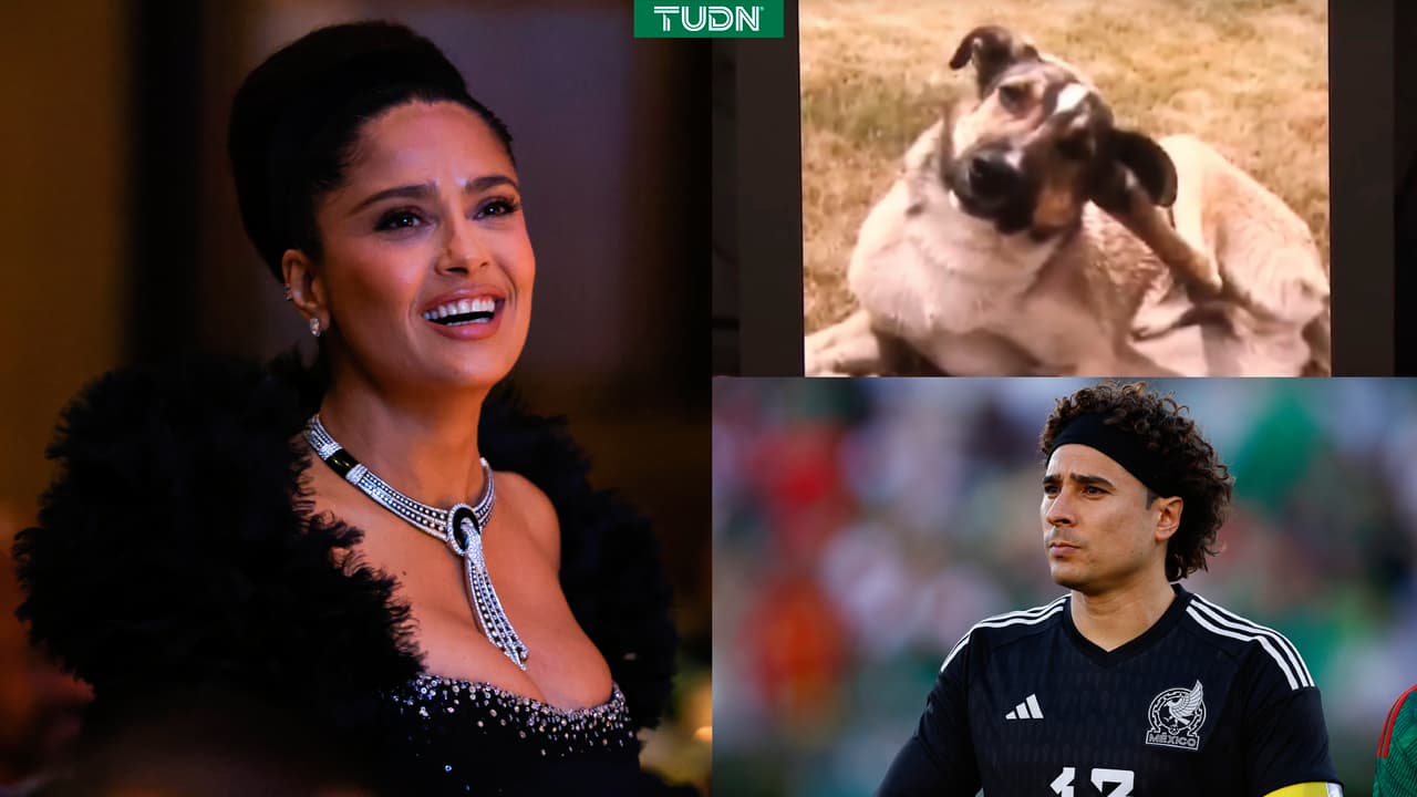 Salma Hayek y la curiosa historia de su perro Ochoa