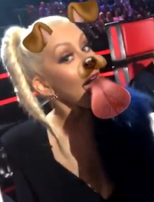 ¿Quién anda por aquí? Es nada más y nada menos que Christina Aguilera, que se transformó en un lindo cachorro gracias a Snapchat.