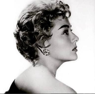 La noche que murió Viridiana: el trágico final de una estrella enamorada de Jaime Garza