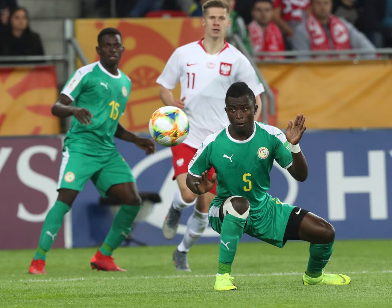 Senegal estaba con mayores posibilidades de clasificarse a la segunda ronda del torneo y la presión se posaba en Polonia, que a toda coste debía evitar una derrota para seguir aspirando al boleto.
