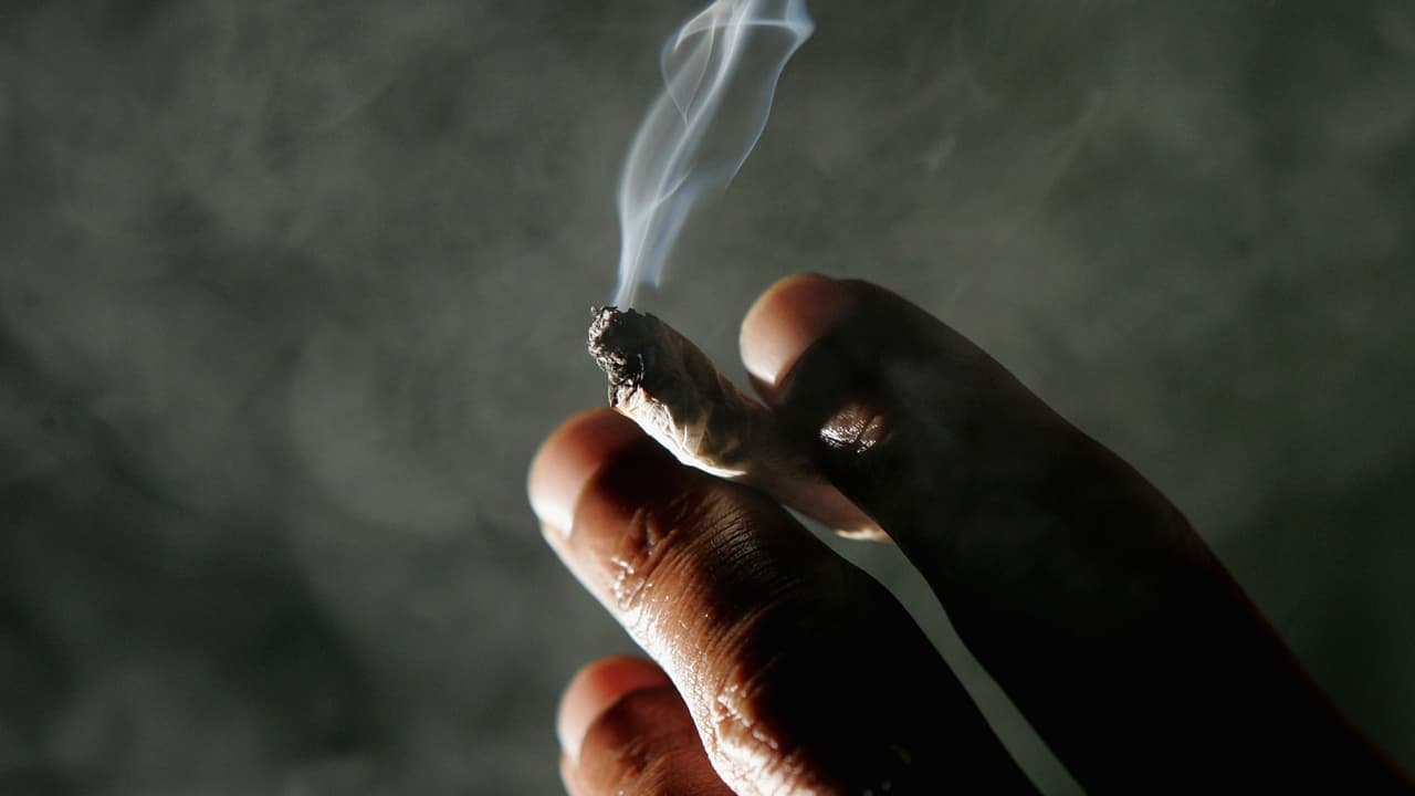 No se buscará sancionar a quienes fumen cannabis en su patio o en balcones después del 1 de enero