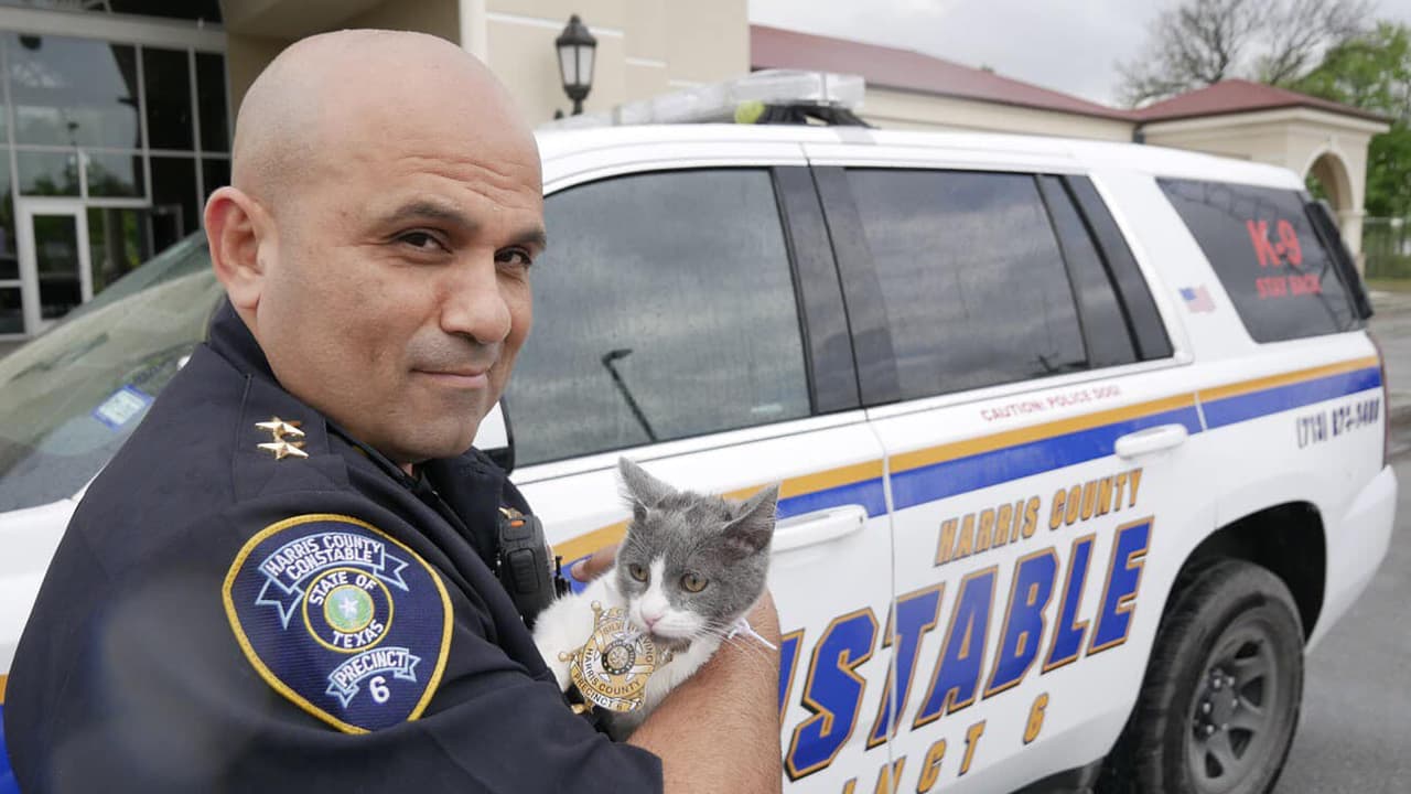 Minnie fue entrenada en sus labores por el oficial Ávalos y ahora son inseparables. Sigue leyendo y aprendiendo.