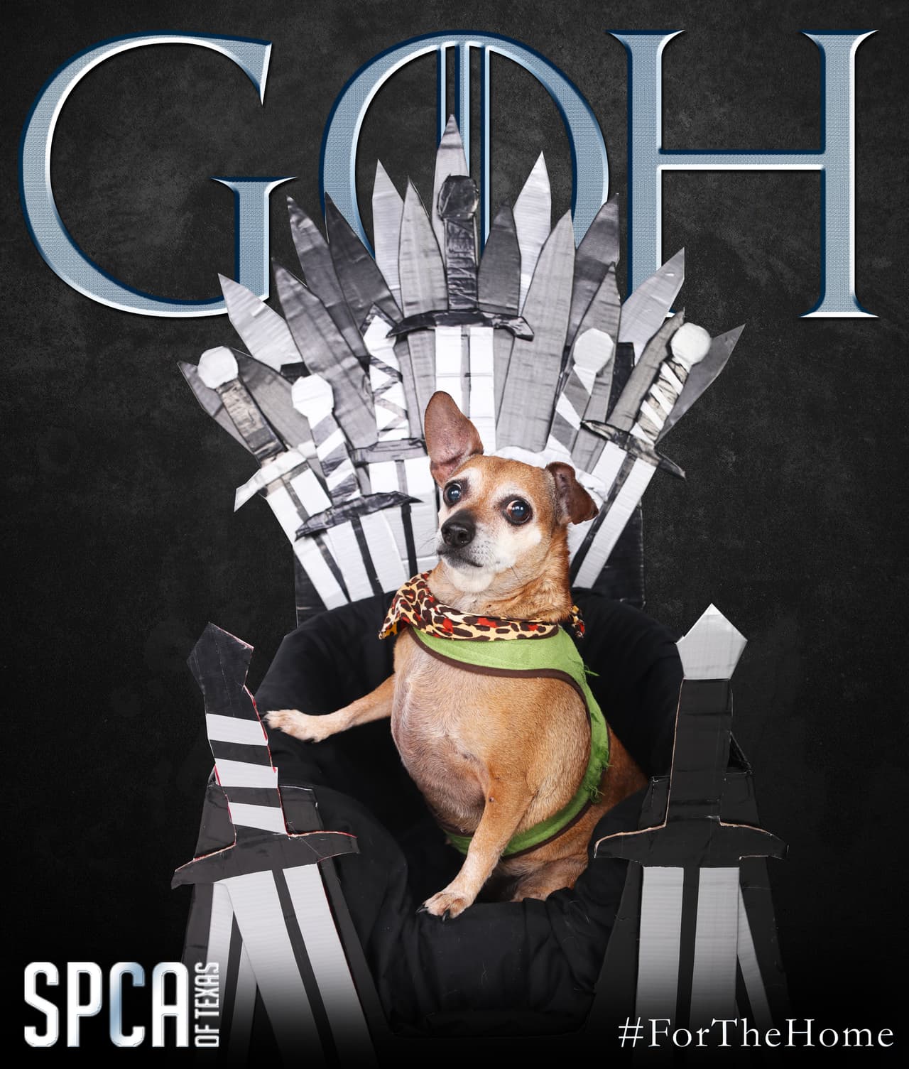 El SPCA de Texas tiene dos albergues donde uno adoptar a su nueva mascota.