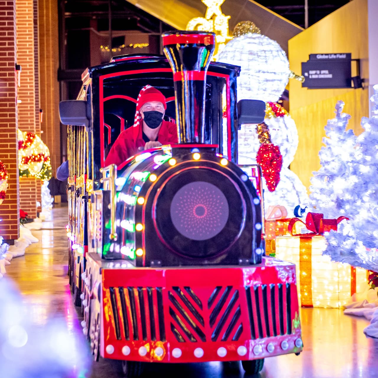 Luminova Holidays abrió sus puertas este pasado
<b>20 de noviembre con alrededor de 2.7 millones de lucecitas y estará abierta al público hasta el próximo 3 de enero del 2021.</b>
<br>