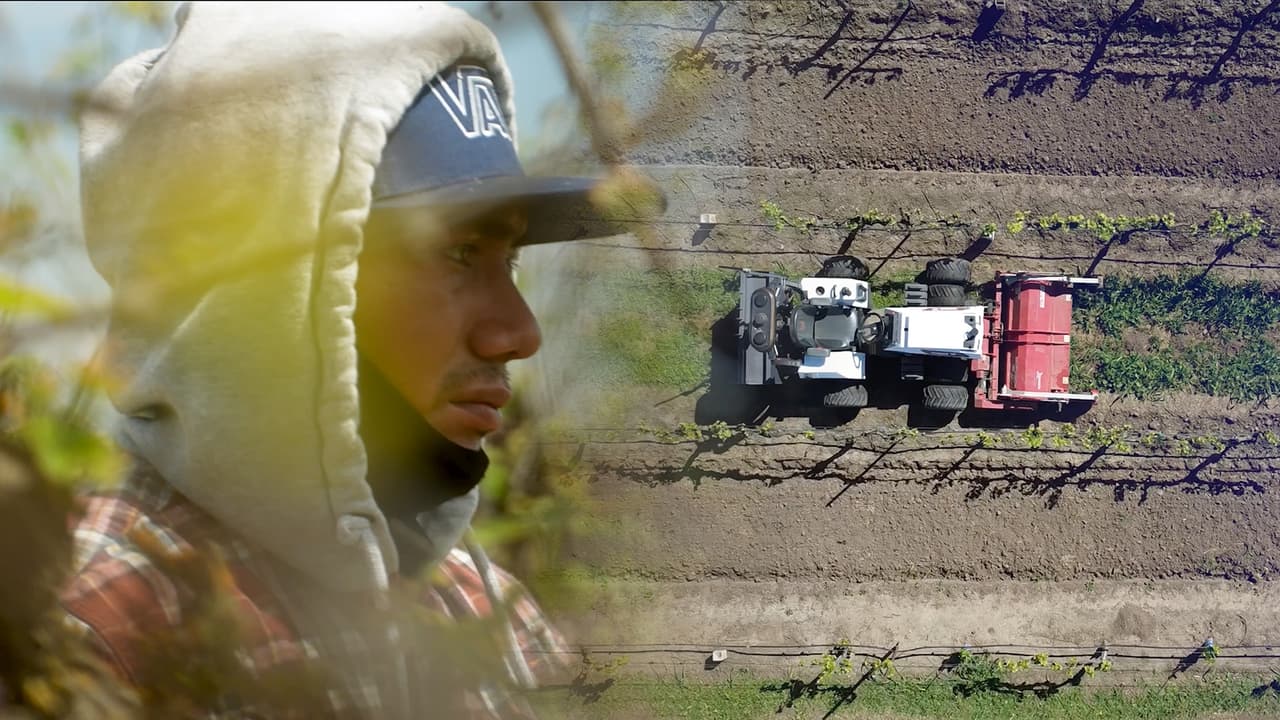 Cosecha Digital: el futuro del campo se controla desde una tablet, jornaleros temen por su futuro laboral