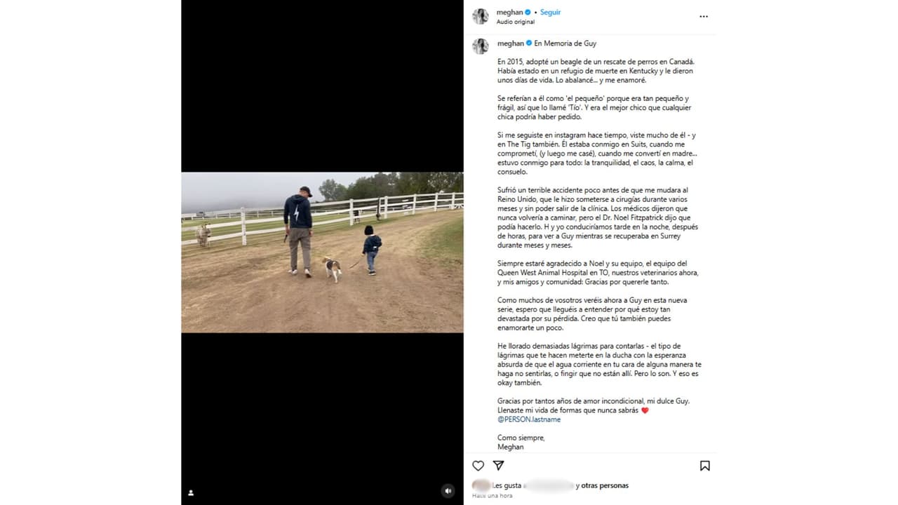 Guy convivió con los hijos de Meghan Markle.