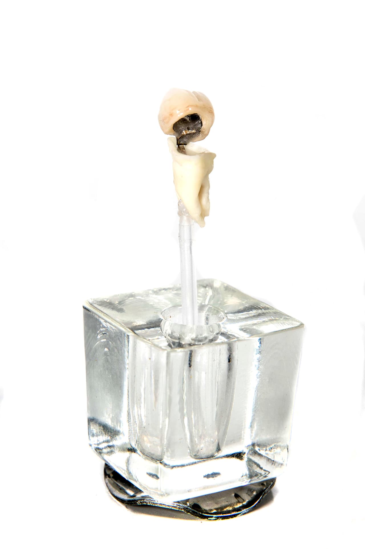 Este complejo dispositivo es una pieza dental donde se ocultaba veneno que podía ser tomado por un agente capturado que quisiera inmolarse. Los visitantes del museo pueden explorar e interactuar con los objetos auténticos utilizados por los espías.