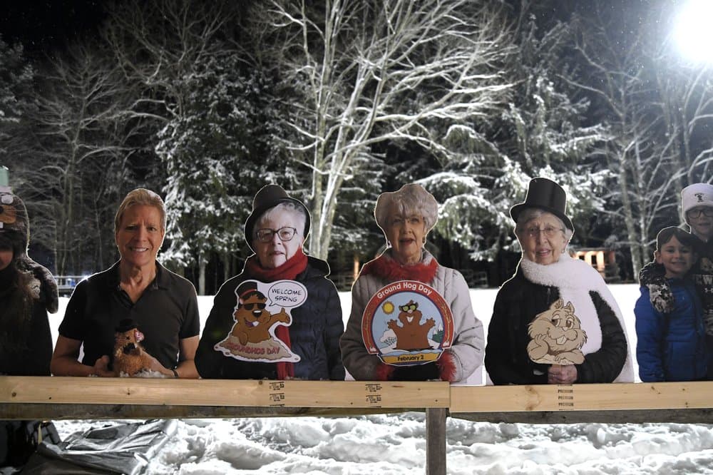 La tradición indica que esta marmota en particular, Phil, ha estado pronosticando la duración del invierno desde 1886 y que su longevidad se debe al "elixir de la vida", o ponche de marmota, que se le administra durante el Picnic de la Marmota, que se celebra cada año en otoño. En realidad, las marmotas tienen una expectativa de vida de unos seis años.