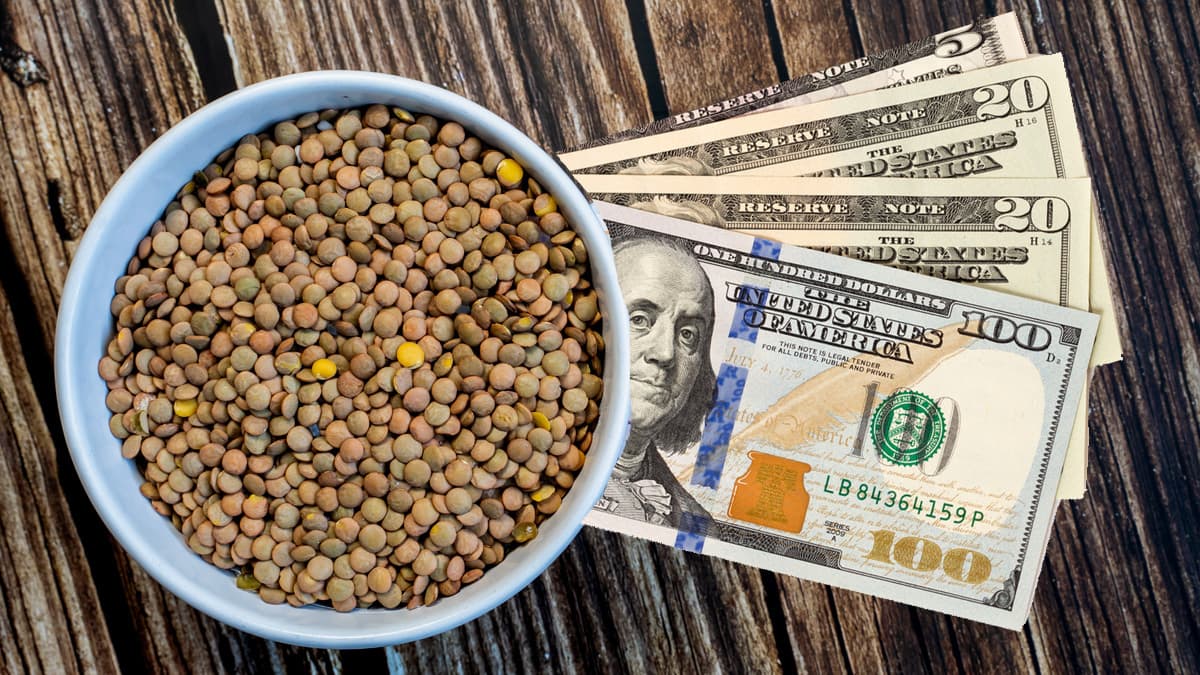 Lentejas, el poderoso imán para atraer la prosperidad a tu vida