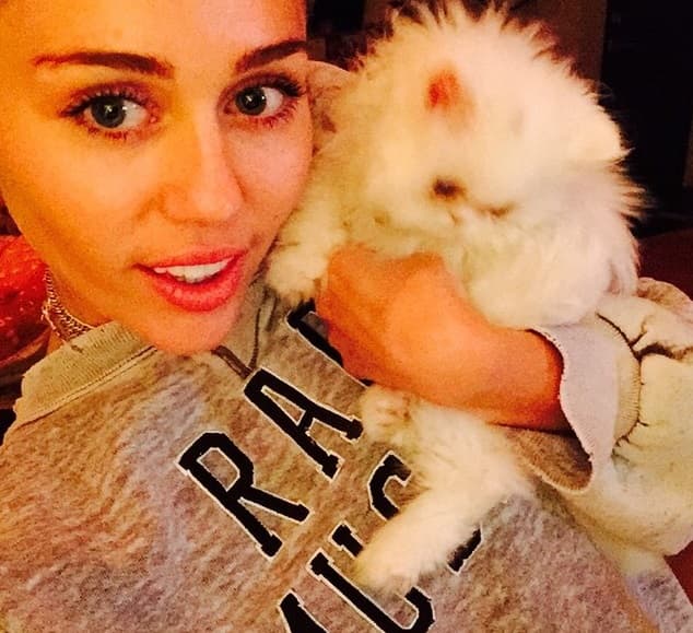 Sus excesos y sus locuras han llegado demasiado lejos.