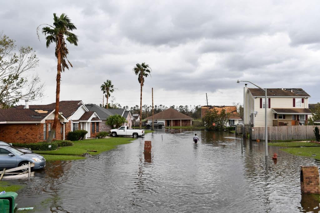 Un hombre es atacado por un caimán en Louisiana, en las inundaciones que deja Ida