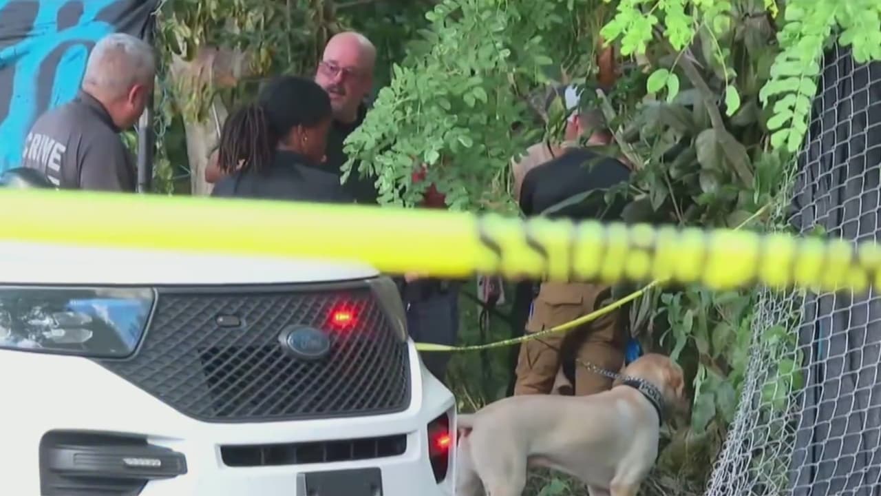 Hallan restos humanos durante un incendio en un terreno desocupado y lleno de vegetación en Miami