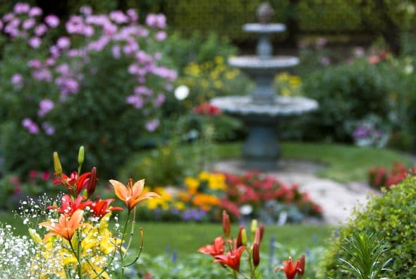 Elige una combinación simple al decidir qué plantas formarán parte de tu espacio.