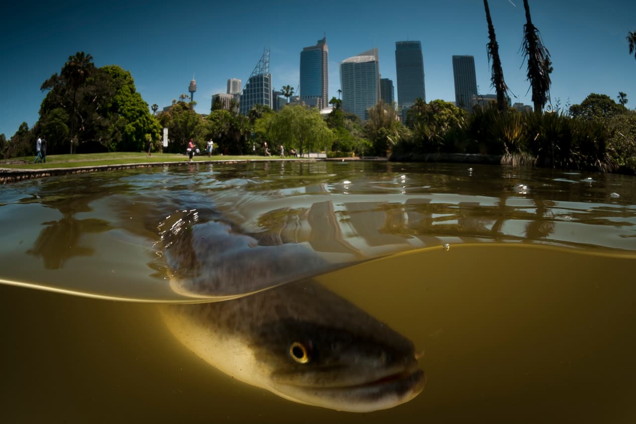 Con su cámara encuadra la mitad del océano y la mitad de la tierra.