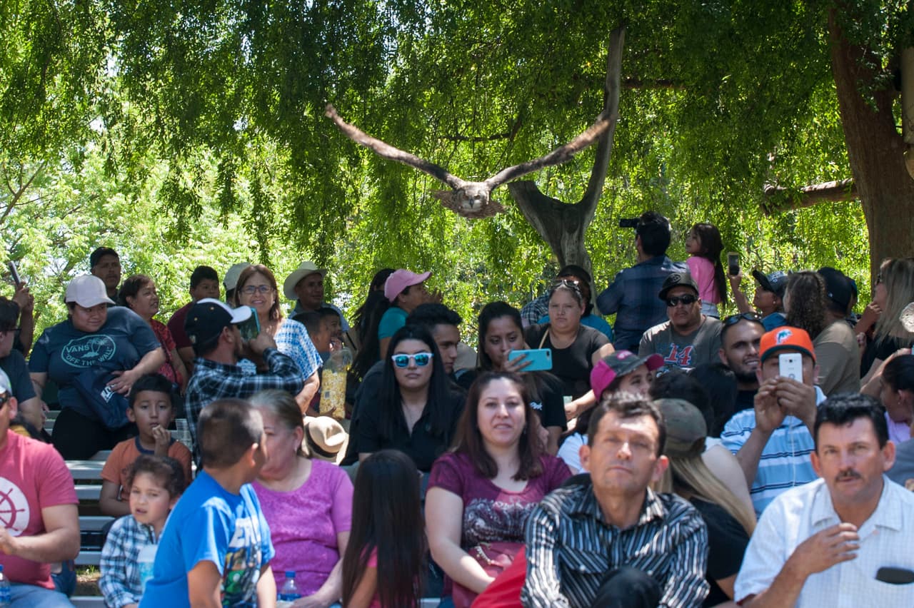 Un bello dia fue perfecto para las familias desde Bakersfield a Modesto.