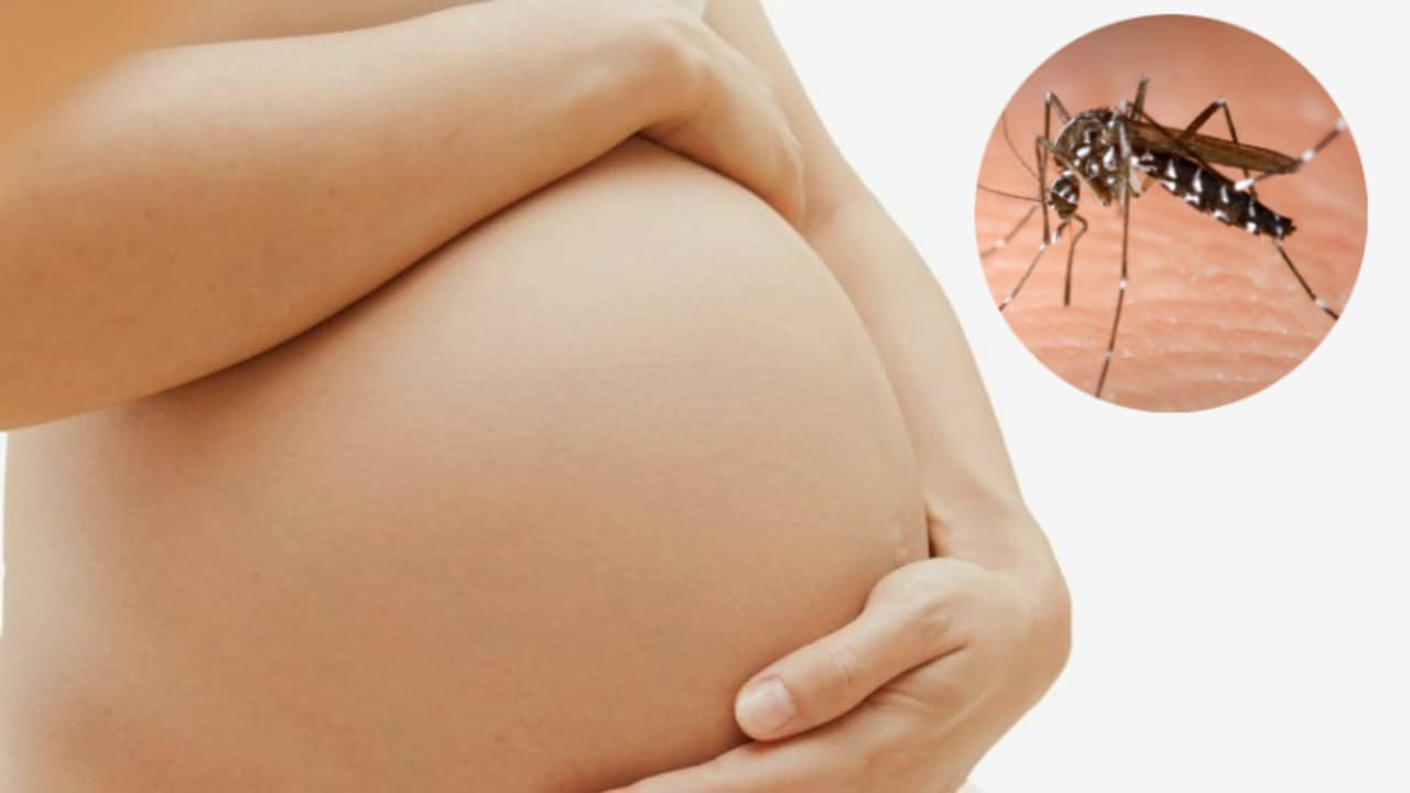 Confirman primer caso de mujer embarazada con virus del Zika