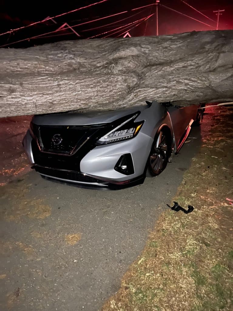 Los árboles que cayeron tenían troncos de gran diámetro y uno de ellos aplasto a este vehículo.