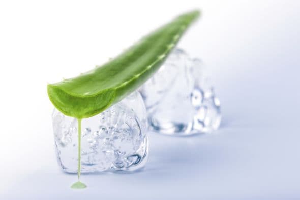 Cuando hayas vertido toda la mezcla de aloe vera, mete el molde al congelador. De esta manera, podrás conservar el gel durante más tiempo, y sólo ir utilizando un cubito al día.