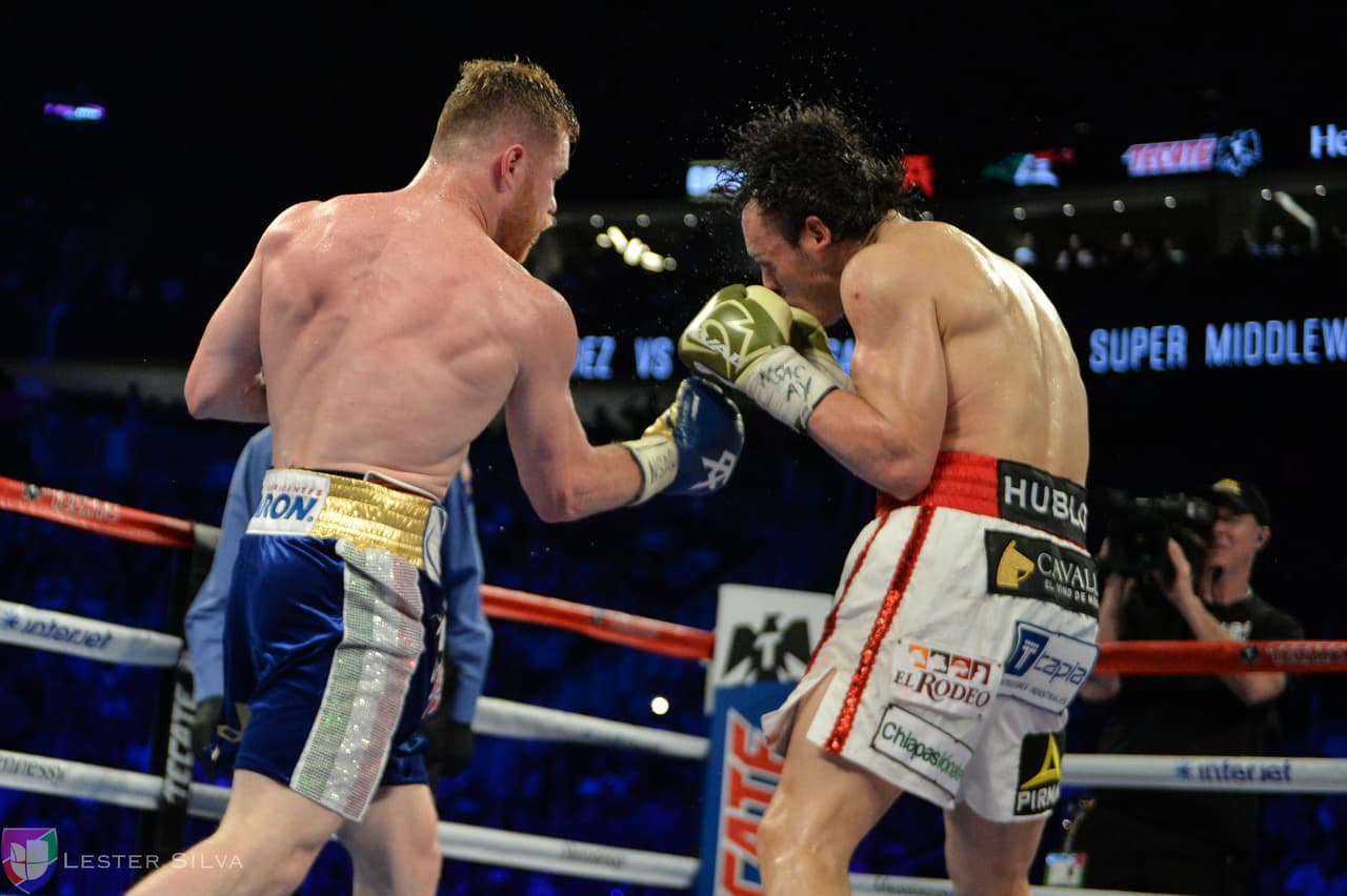 Te acercamos a los golpes que se dieron Saúl 'Canelo' Álvarez en contra de Julio César Chávez Jr., imágenes que te harán sentir en el ring.