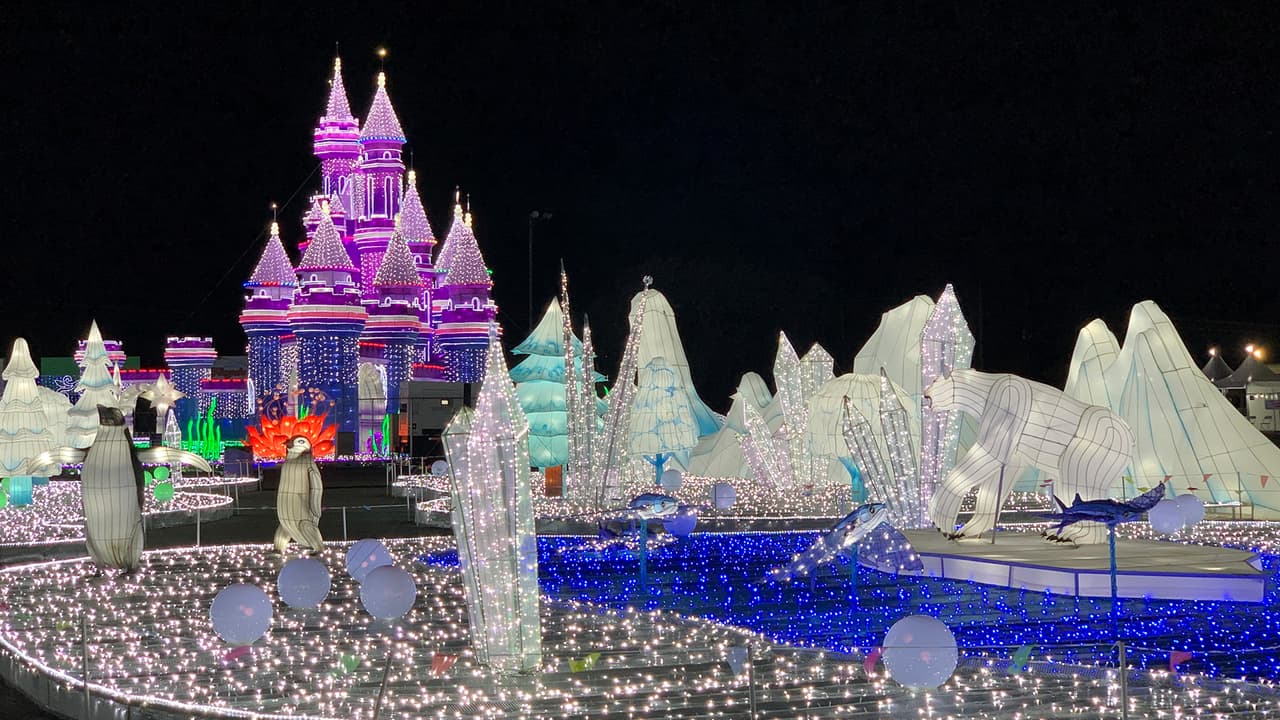 <b>Magical Winter Lights</b> tiene diferentes temáticas fabricadas con luminosas y coloridas luces navideñas.