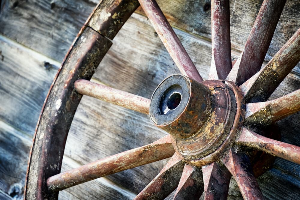 <b>RUEDA (del 21 de junio al 21 de julio)</b>
<br>Relacionadas no sólo con el movimiento, sino con la Luna, con emociones, la inestabilidad de nuestros sentimientos. Aquellos bajo este signo están regidos por sus emociones, por el impulso. Constantemente tienen el corazón en la mano y pasan todo su día en un círculo de emociones, 'rodando' de la felicidad a la tristeza, de la emoción a la rabia. Demasiado afectivos y volubles.