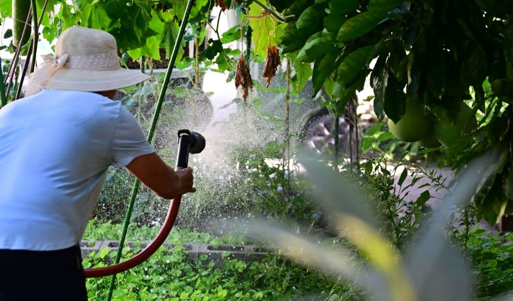 Pausar por 15 días el uso de agua en exteriores: nueva medida afecta a 4 millones de residentes en el sur de California