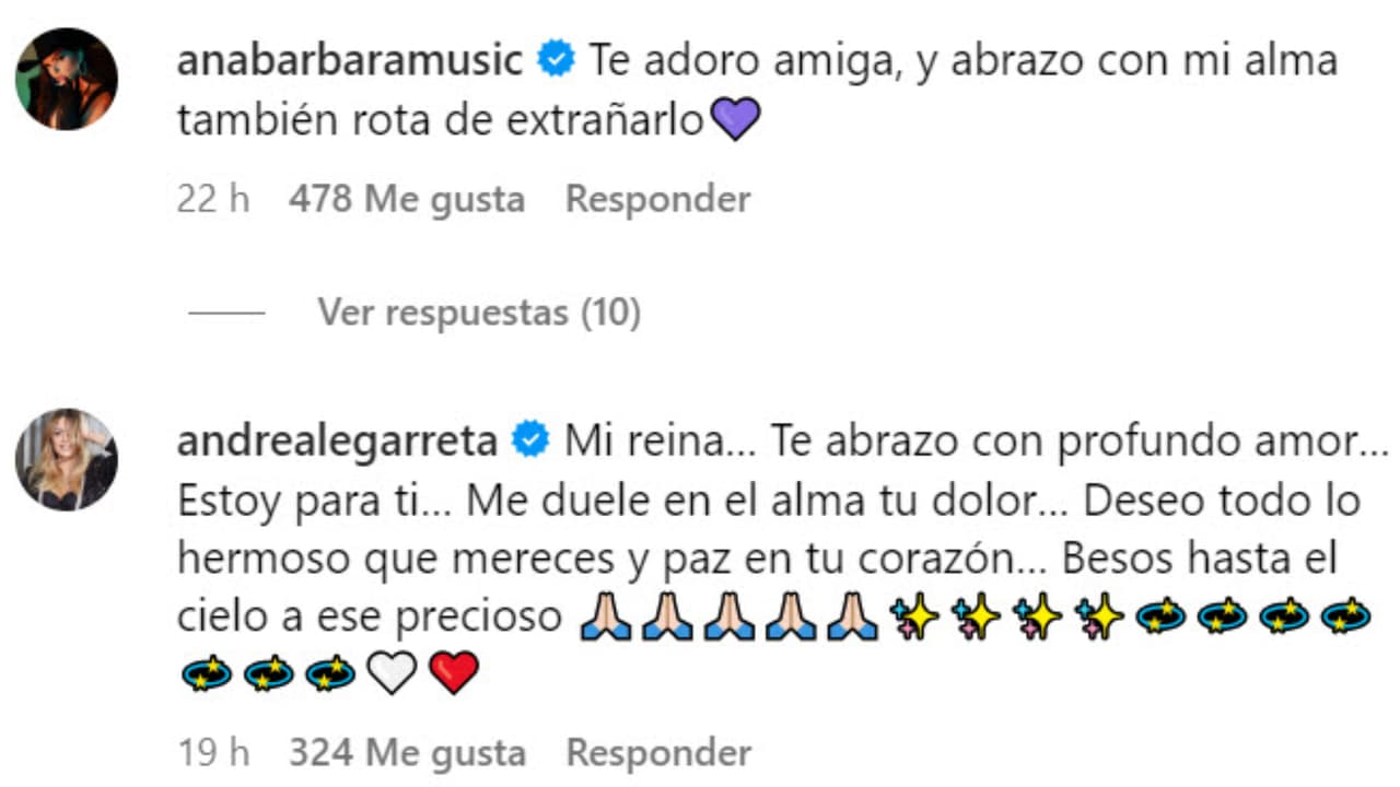 Andrea Legarreta y Ana Bárbara reaccionaron así al mensaje de Maribel Guardia para su hijo.