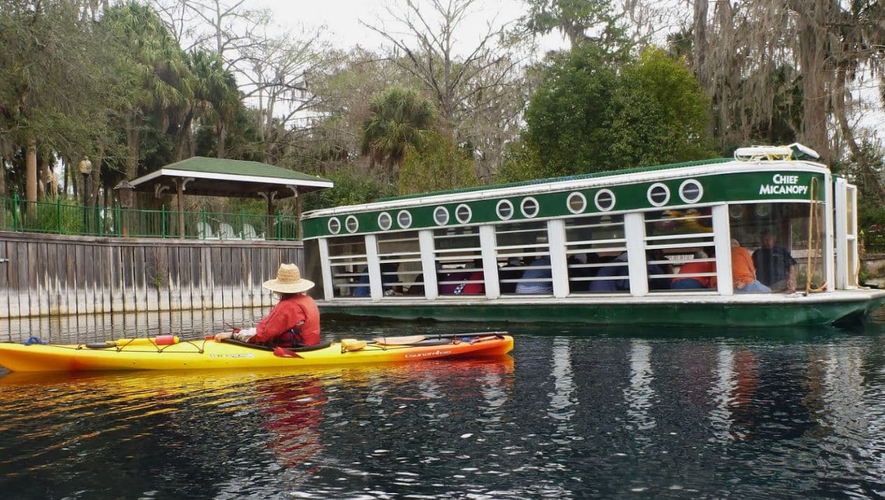 Silver Springs, Ocala - La mayor atracción de este parque son los botes con fondo de cristal. También es muy conocido por los festivales y conciertos que se celebran en el lugar. La entrada es a un bajo costo.
