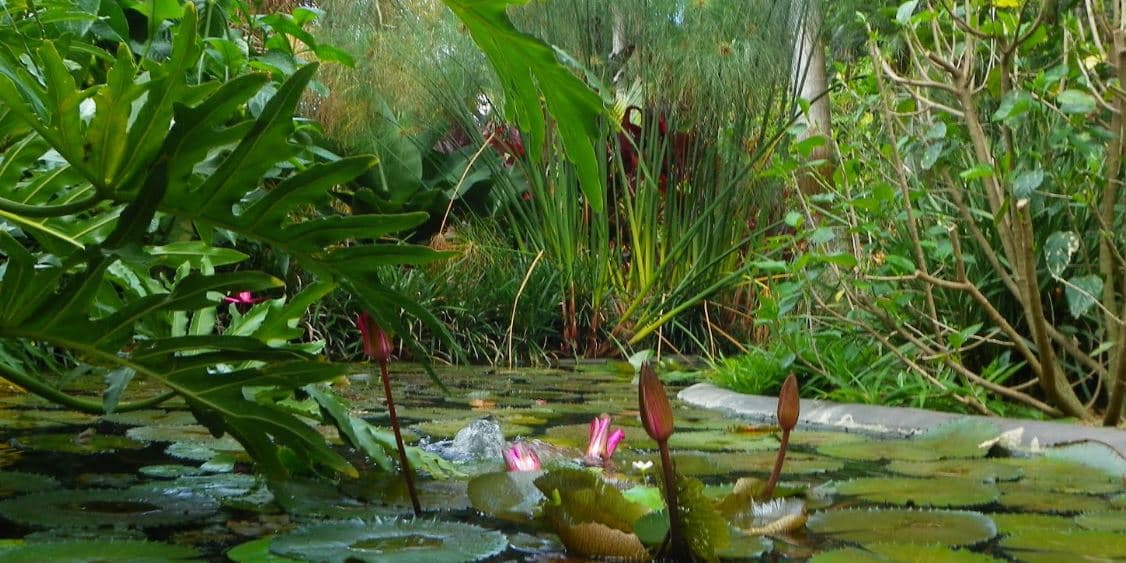 Gobernador Scott propone "inversiones históricas" para el medio ambiente