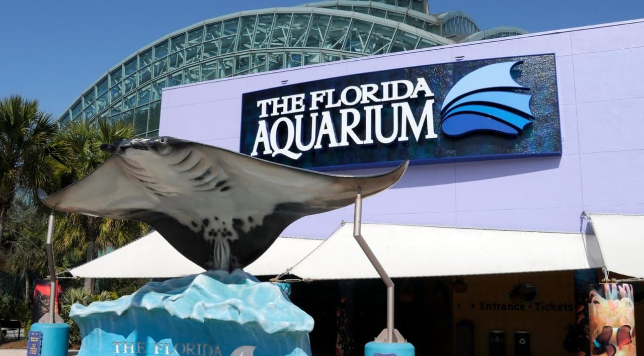 Florida Aquarium, Tampa - ¿Quieres ver más de 20 mil plantas y animales marinos? Pues este es el lugar. El acuario tiene un tamaño de 250 mil pies cuadrados.