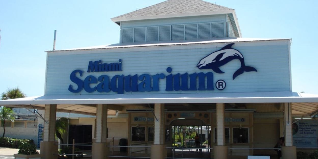 Miami Seaquarium, Miami - Este es el oceanario más antiguo de Estados Unidos. Su apertura fue en 1955 y cuenta con espectáculos de delfines y ballenas asesinas.