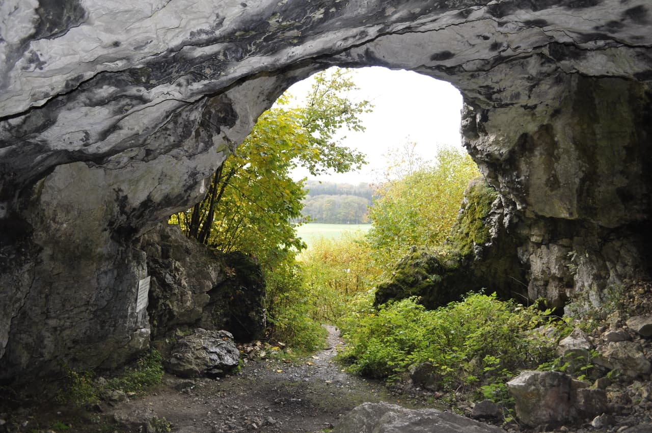 <b>Cuevas y arte de la edad de hielo en el Jura de Suabia, Alemania. </b>Los seres humanos modernos llegaron por primera vez a Europa hace 43,000 años durante la última era glacial. Una de las áreas donde se instalaron fue el Jura suabio, en el sur de Alemania. Excavado de la década de 1860, seis cuevas han revelado elementos que datan de 43,000 a 33,000 años atrás. Entre ellos figuran figurillas de animales (incluyendo leones cavernosos, mamuts, caballos y ganado), instrumentos musicales y objetos de adorno personal.