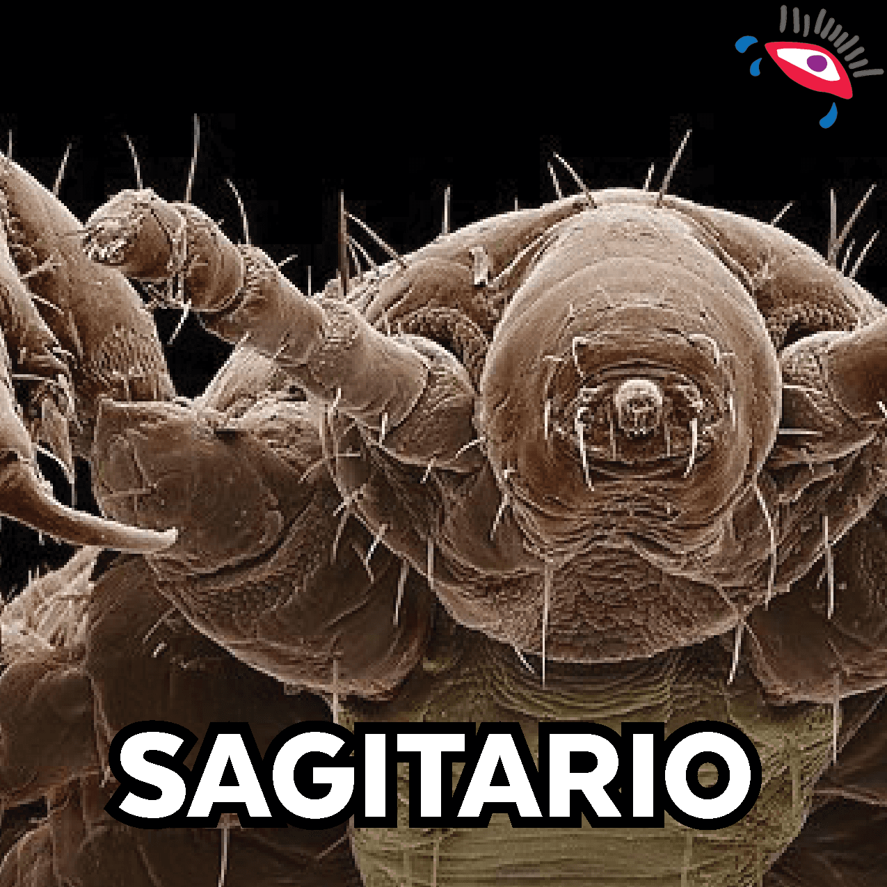 Antes de que te exaltes por enterarte que serás un piojo, tienes que saber que no serás cualquier piojo, serás el piojo de la mayor celebridad en el año 2078. Atento.