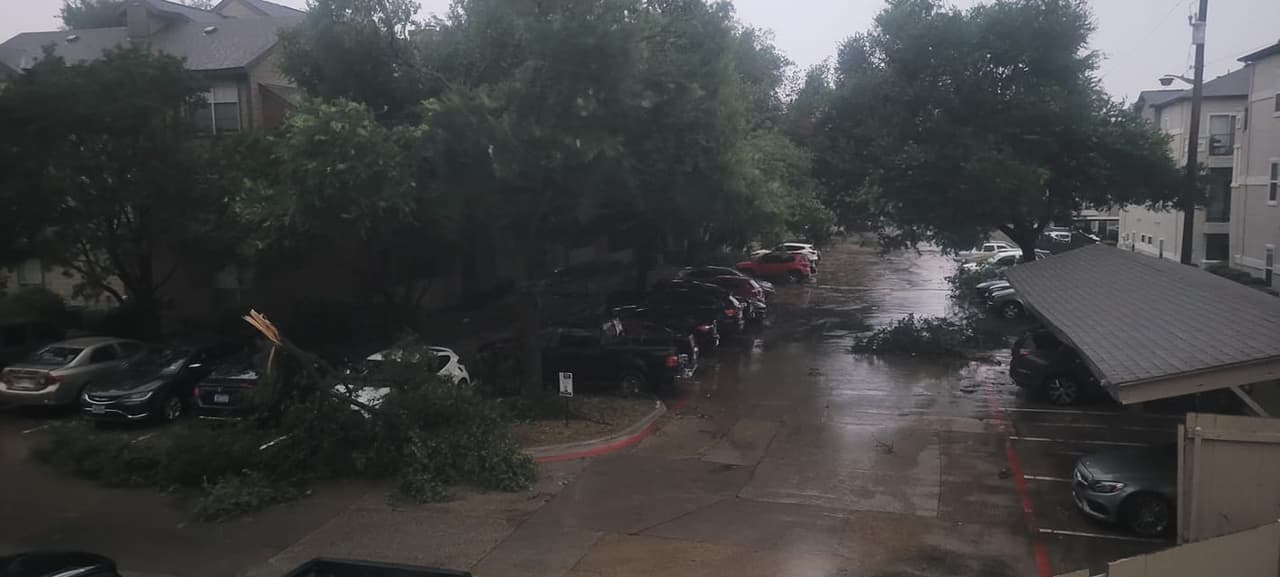 Es recomendable que, quienes puedan hacerlo, posterguen las salidas, pues también 
<b>en las calles del centro de Dallas hay ramas y otros objetos peligrosos</b>, como cables del tendido eléctrico o letreros de señalización.