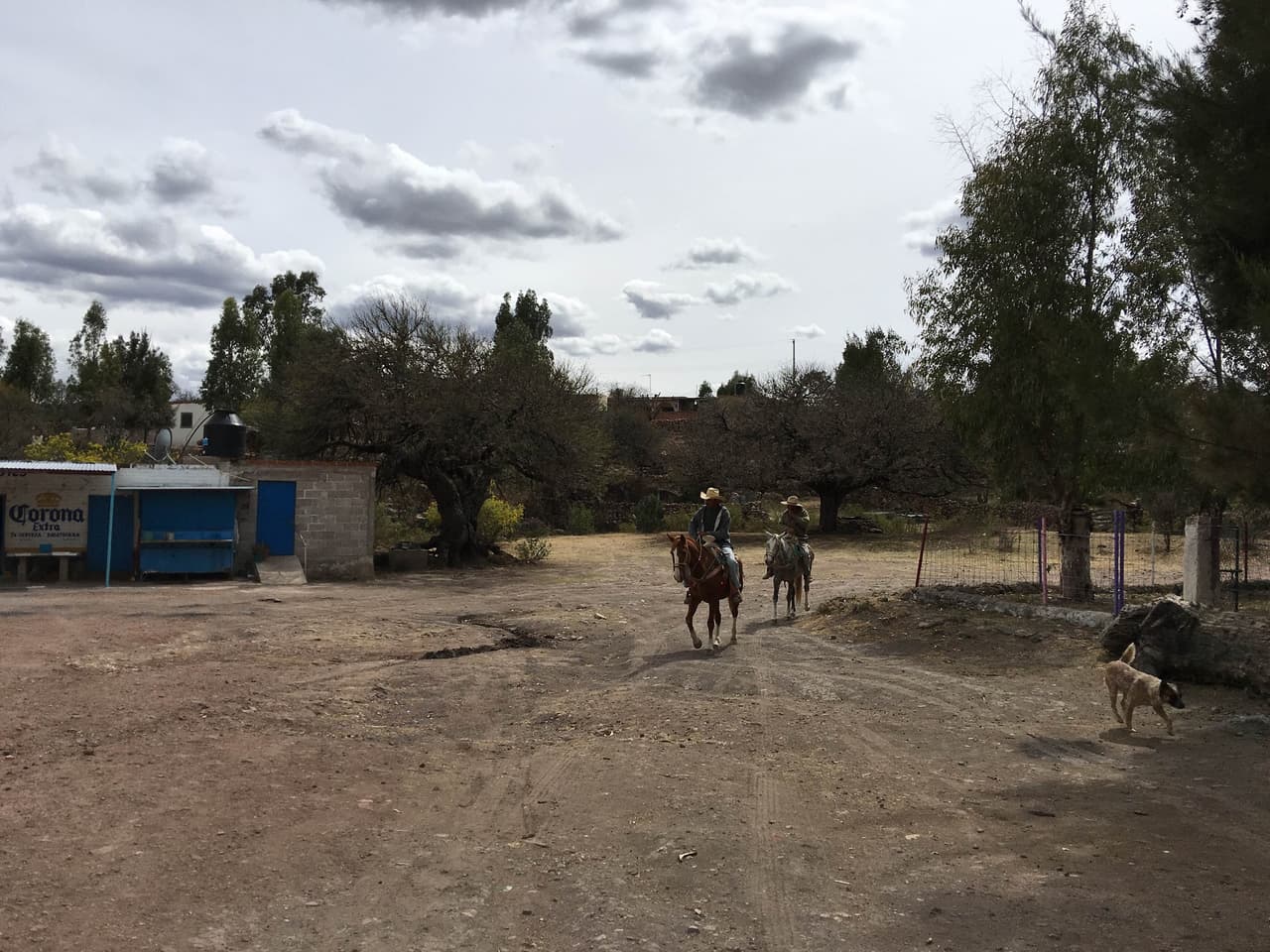 Desolación en Zacatecas, un estado marcado por la migración masiva