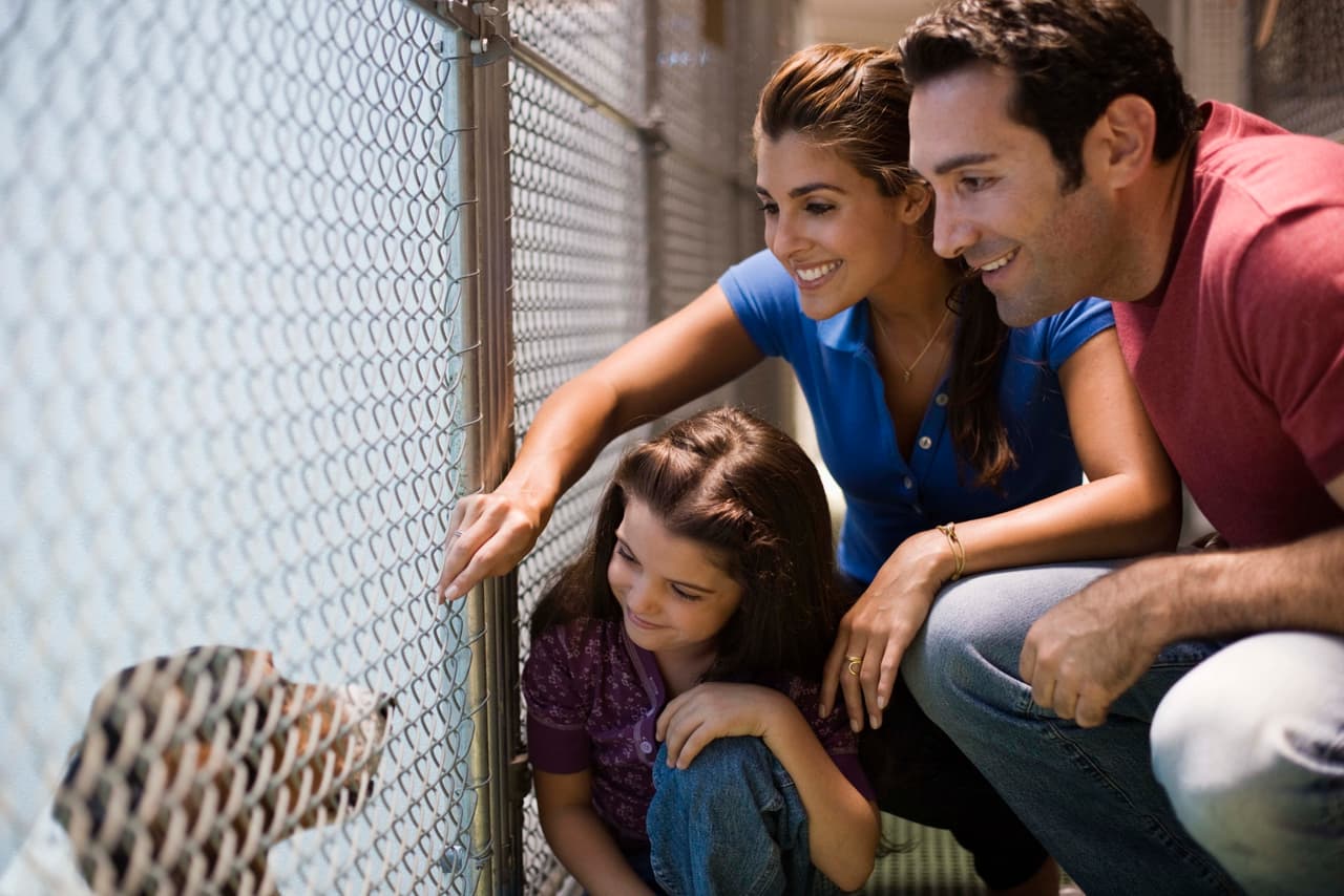 Elige una mascota que sea adecuada para ti y para tu familia, no sólo adoptes por cómo luce. Esto es banal y de poco criterio. ¡Todo animalito requiere personas bien preparadas para enfrentar los costos de añadir un peludo miembro a la familia!