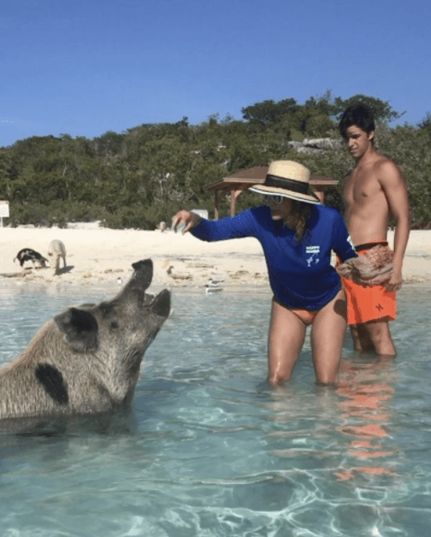 Estos cerditos se dejan alimentar y acariciar, oportunidad que la conductora no dejó pasar.