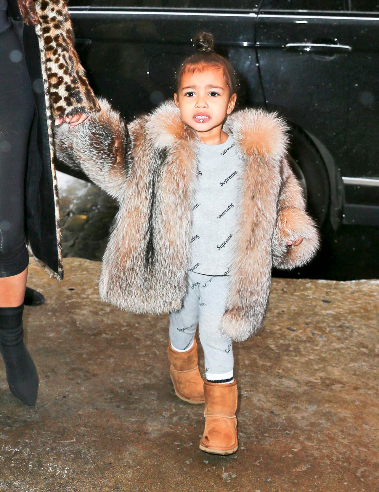 Ese abriguito debe valer una fortuna.