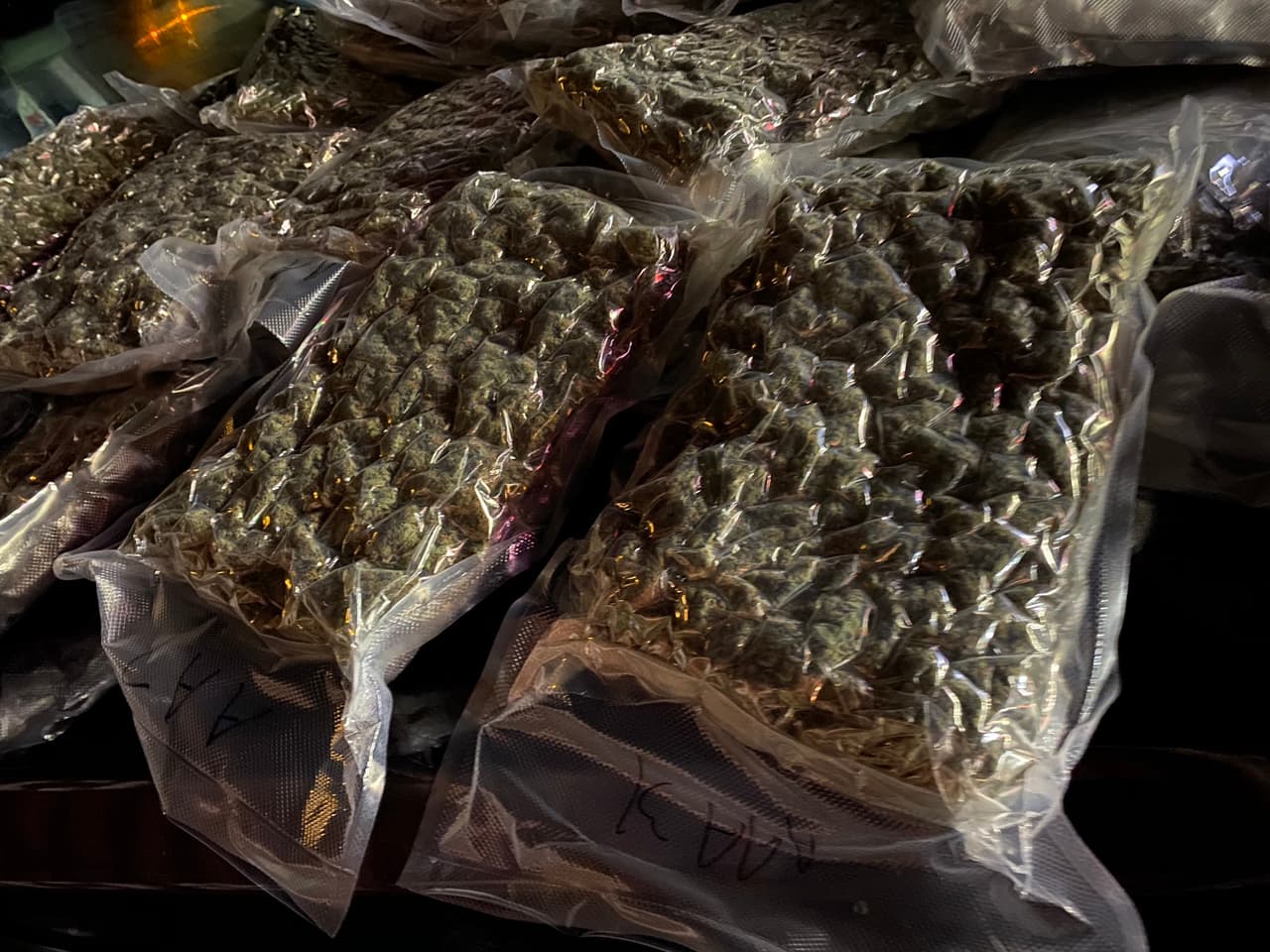 Los agentes revisaron el carro luego que sintieron un fuerte olor a marihuana.