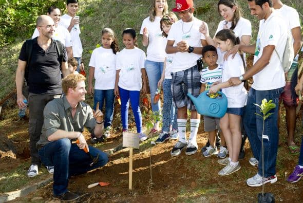 La selva brasileña es un ecosistema que debe preservarse.