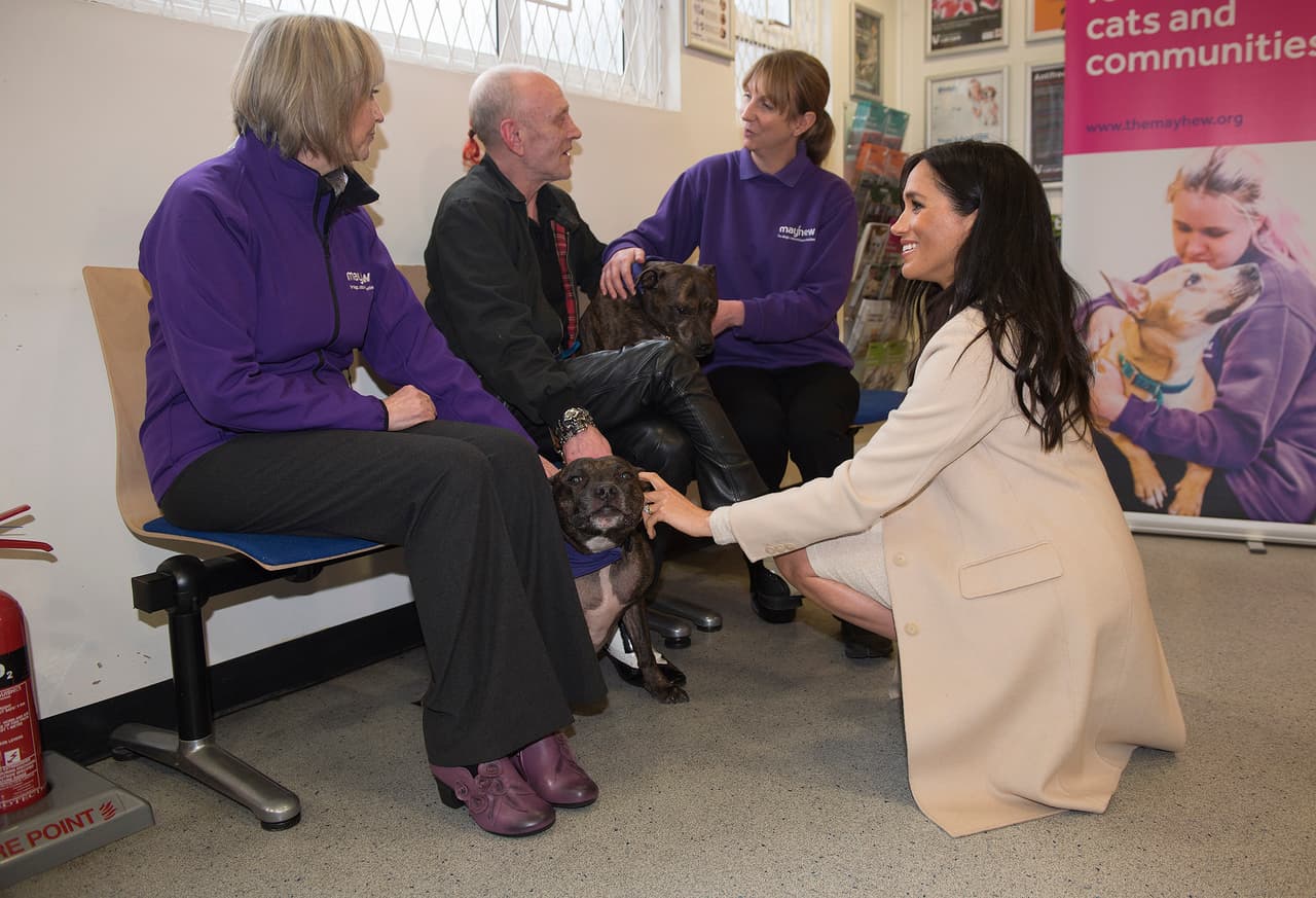 Meghan Markle no abandonó 'The Mayhew Animal Home' sin agradecer al personal todo lo que hacen por mejorar la calidad de vida de perros y gatos en necesidad.