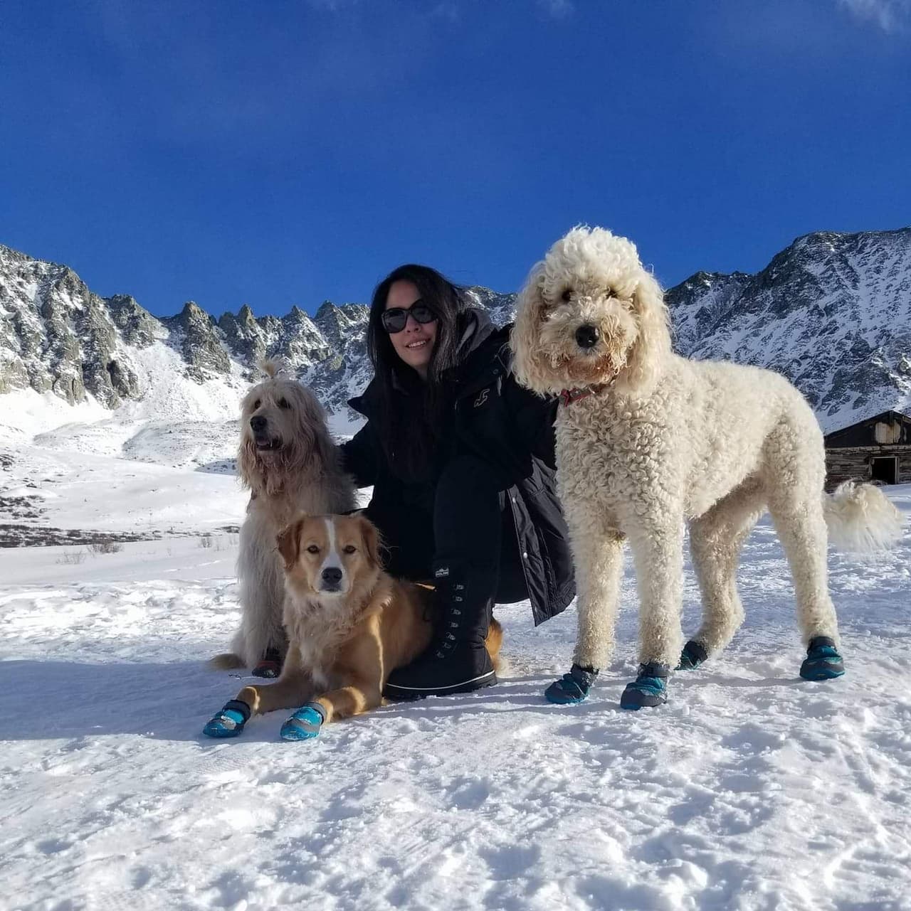 Fer Maldonado compartió una foto junto a sus hijos peludos en un bello paisaje.