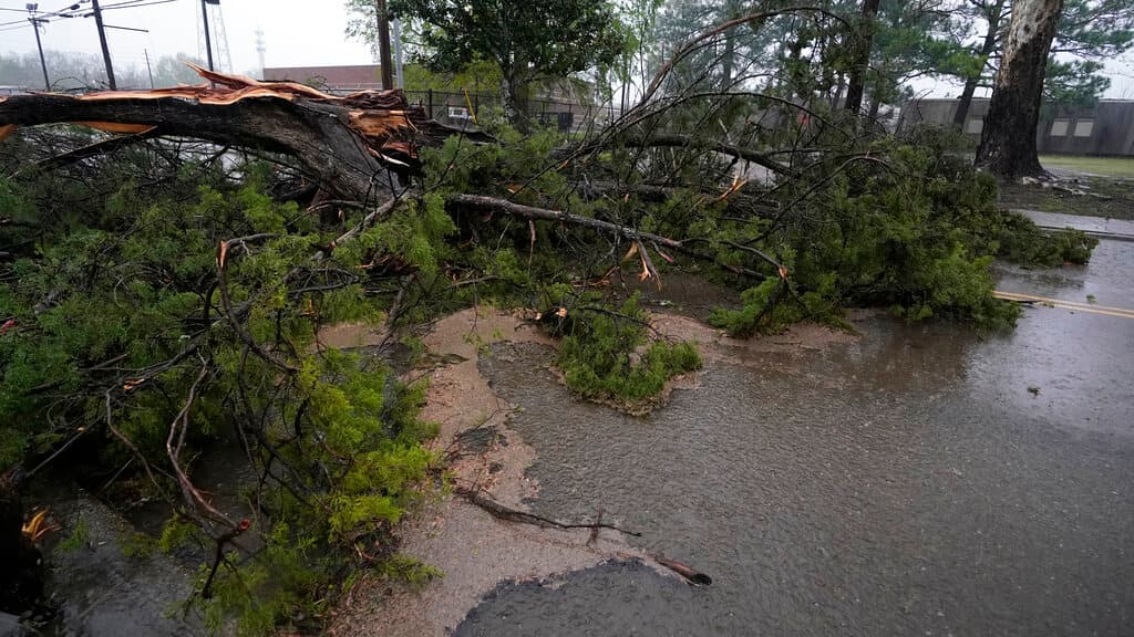 Más de 200,000 clientes de servicios públicos se quedaron sin electricidad tras el paso de potentes tormentas por el sureste del país, según la página de monitoreo del servicio eléctrico poweroutage.us. Los estados más afectados por los apagones fueron: Alabama, Tennessee, Mississippi, Kentucky, Ohio e Indiana.