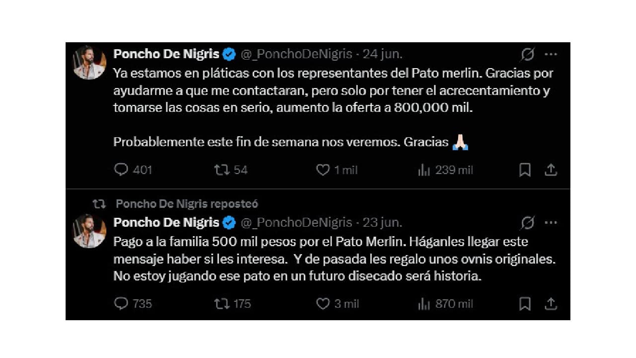 La oferta de Poncho de Nigris.