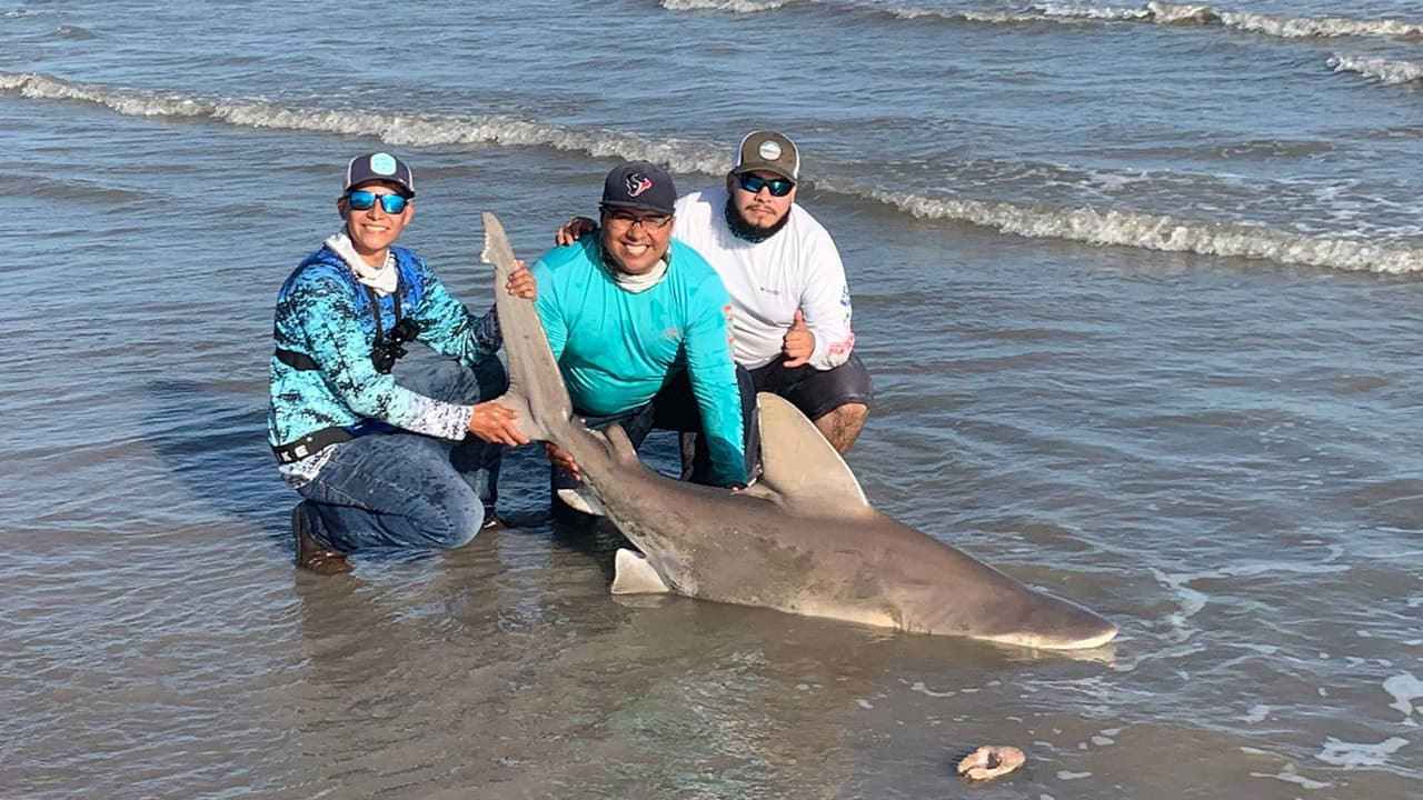 "Nos encanta la pesca entonces le tenemos mucho respeto a la vida animal, nosotros no hacemos esto para dañarlos si no que nos encanta, especialmente ver a un tiburón de este tamaño, es algo impresionante que puedas sostener en sus manos un animal tan grande", concluyó López.