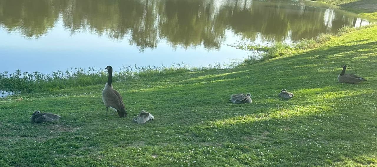 The Park at River Walk
<br>Es un parque público ubicado en el 11298 Stockdale Hwy, tiene 32 acres en donde hay dos lagos conectados por un arroyo. Dentro del parque está el Anfiteatro Spectrum, uno de los dos grandes teatros al aire libre en Bakersfield.