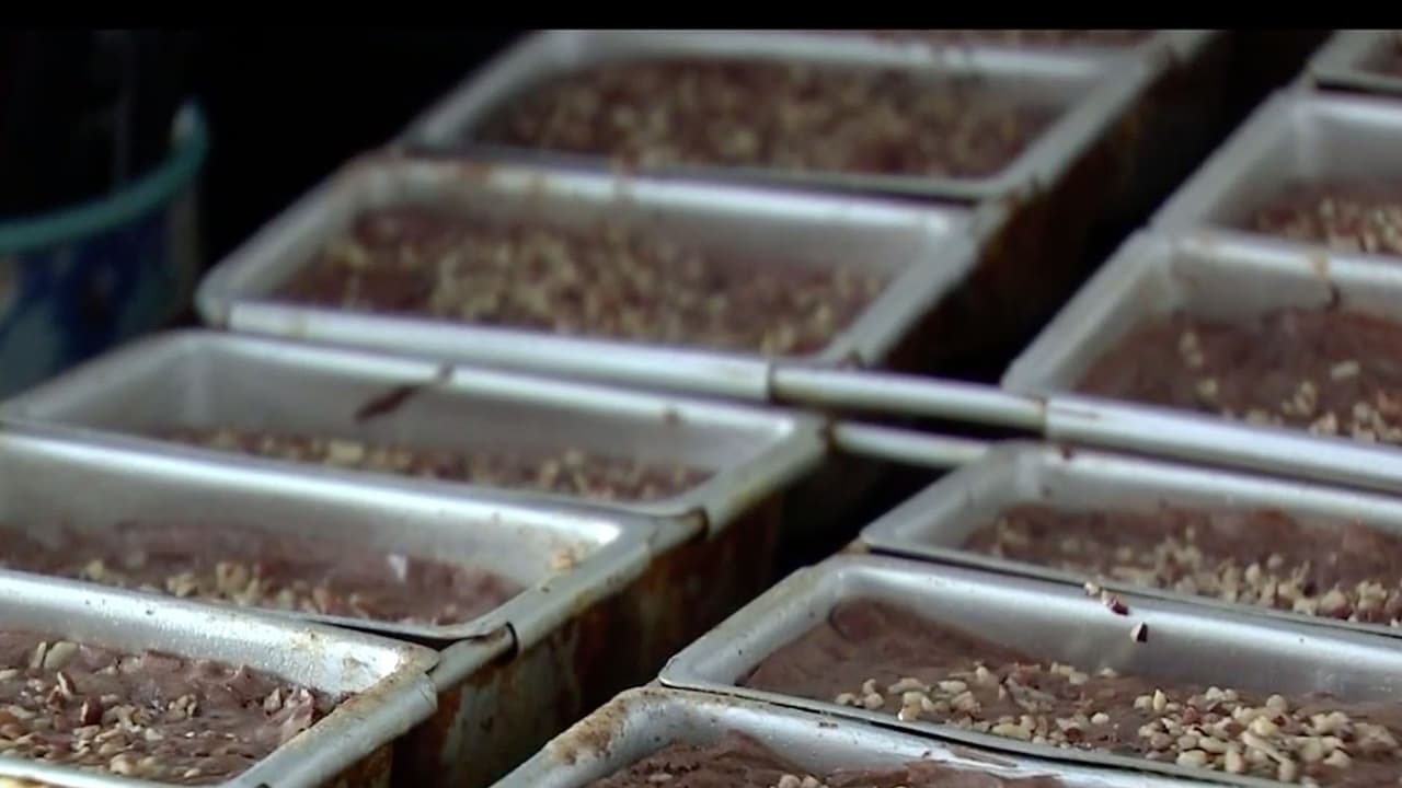 Marquina indicó que se sintió identificado con Cossio porque también tuvo que buscar la forma de ayudar a sus padres cuando era estudiante.