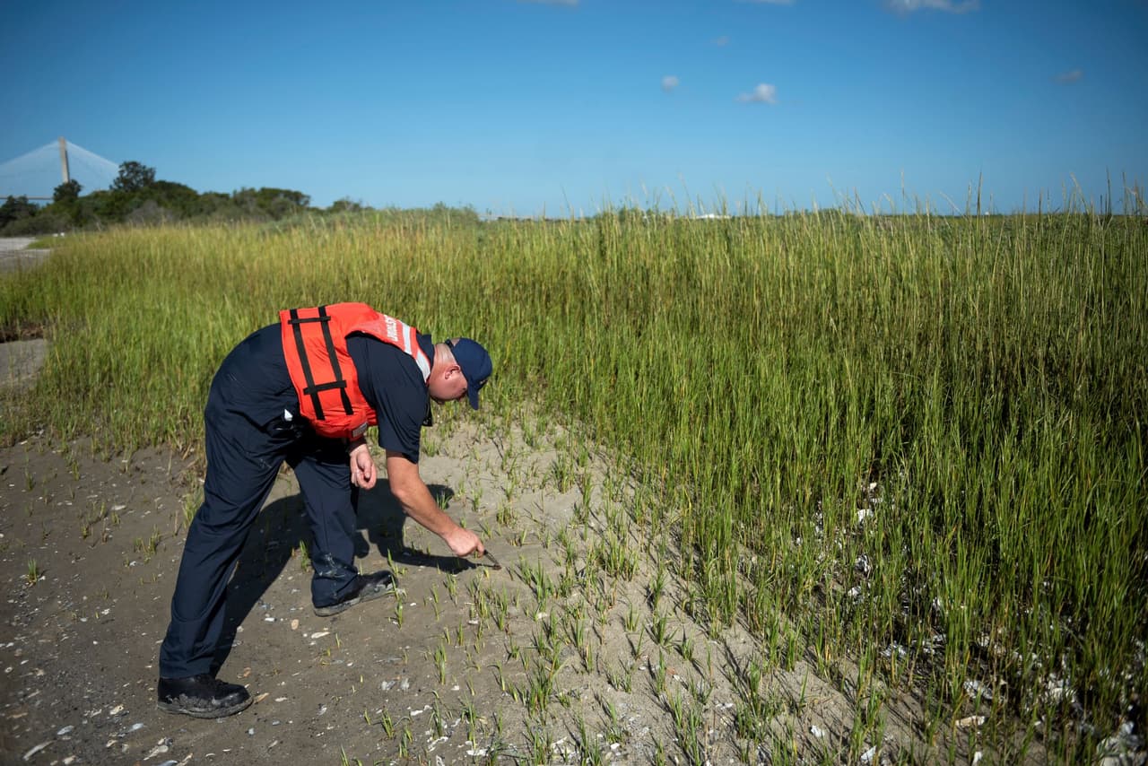 Estimaron que más de 200 personas y casi 60 embarcaciones trabajan para tratar de contener las descargas de combustible que salen del Golden Ray. Agregaron que han utilzado más de 5,400 pies de absorvente.