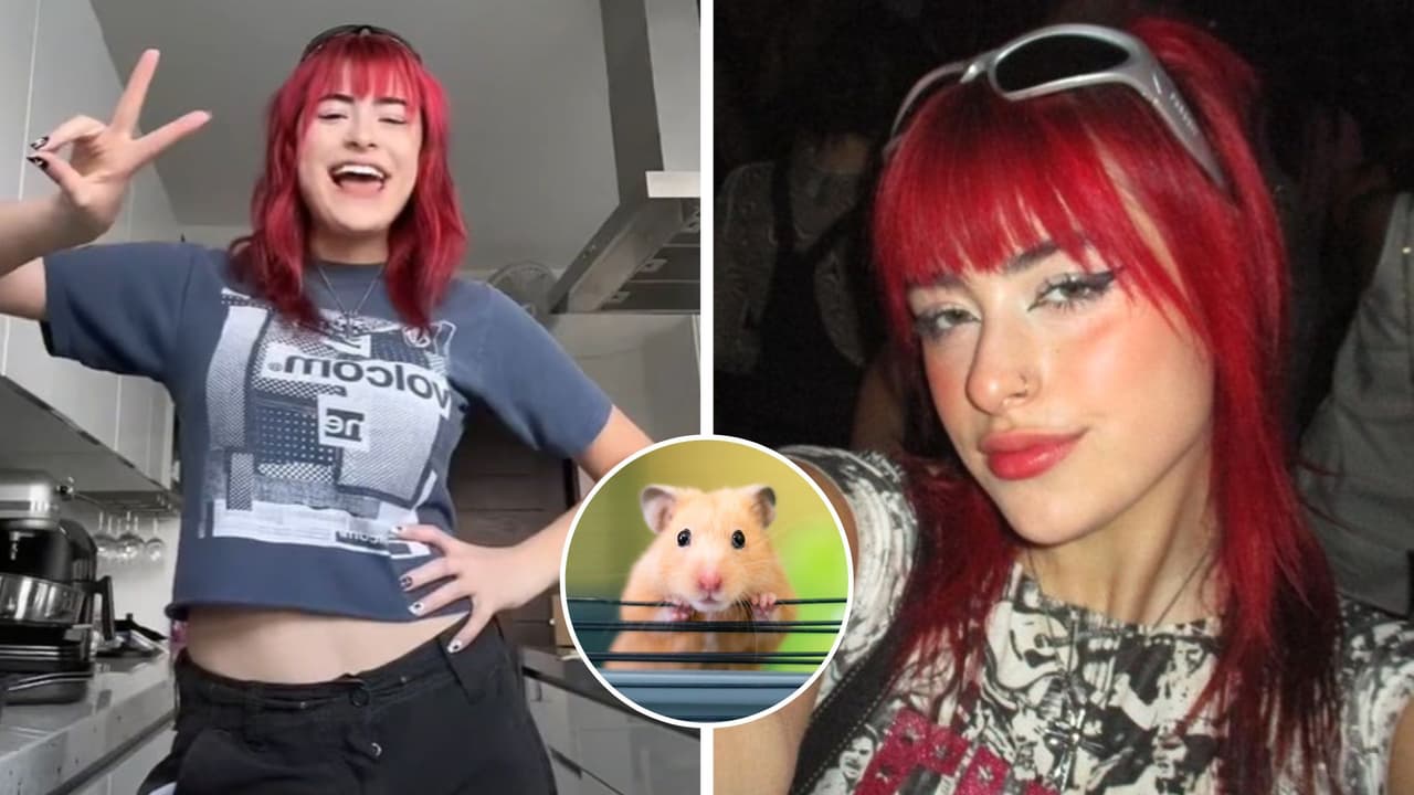 Tiktoker narra cómo murió su hámster y le llueven críticas en Internet: ¿qué fue lo que pasó?