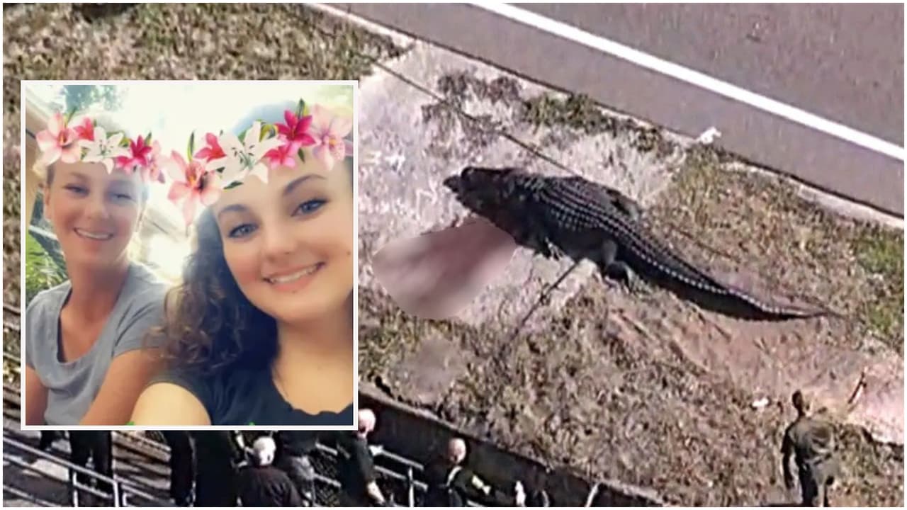 "Rezo para que me estés cuidando": Hija de víctima encontrada en las fauces de un caimán lamenta la muerte de su madre